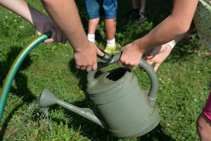 edible classroom watering 1