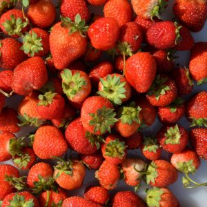 whatwegrow-strawberries